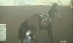 Funny Video : Barrel horse racing