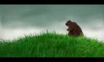 Lustiges Video : OXOTA - Die Bärenjagd