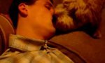 Funny Video : Dog-to-mouth respiration