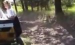 Funny Video : There are certain rules on a rallye track