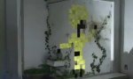 Funny Video : Post it stopmotion