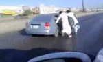 Funny Video : Saudi road skating
