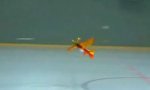 Lustiges Video : Modellflugzeug-Akrobat