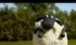 Movie : Shaun the sheep