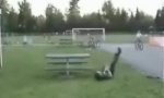 Funny Video : Campingtisch vs Schienbein