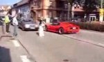 Lustiges Video : Ferrari-Rindvieh