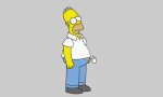 Lustiges Video - Homer