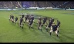Lustiges Video : All Blacks Haka, immer wieder schön