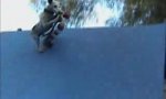 Lustiges Video : Extremsport-Hund