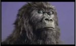 Movie : When Gorillas drink some milk