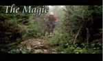 Movie : The Magic of Downhill