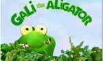 Funny Video : Gali the alligator