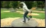 Funny Video : Adults + playground = pain