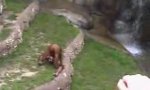 Movie : Neulich im Zoo: Affenspringbrunnen