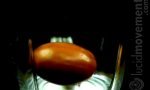 Lustiges Video : Tomaten-Mixer-Slowmo