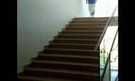 Lustiges Video : Stairsliding