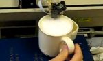 Lustiges Video - Kaffeeschaum Drucker