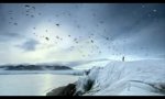 Movie : Evolutionary penguins