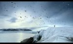 Lustiges Video : Evolutionssprung bei den Pinguinen