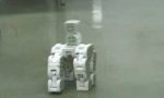 Movie : Regenwurm-Roboter