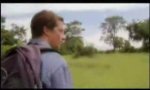 Lustiges Video : Safari-Drei-Gänge-Menü