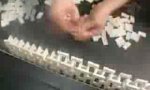 Funny Video : Domino Domino