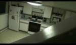 Funny Video : Überraschung am Küchenfenster