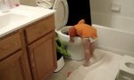 Funny Video : Kleinkinder Toilettenforschung