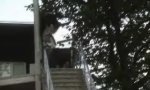Lustiges Video : Skate Trick - handrail blooper