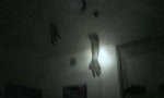 Funny Video : Homemade-Hand-Horrortrip