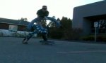 Movie : Skate-Trick: Foward Leaned Nose Grinder