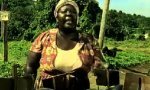 Funny Video : Karibische Melonenhändler