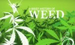 Movie : Grasgeschichte - Die Historie von Cannabis