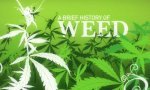 Funny Video : A GrassTale -  The History Of Cannabis