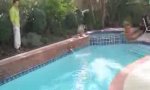 Movie : Pool-Overjumper