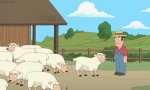 Movie : Yeah, It Is Sheep Fleece Time Again!