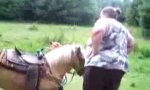 Funny Video - Today In The Circus Ring: Walrus Climbs Onto Horse