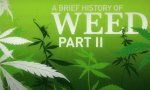 Funny Video : The History of Weed Part 2