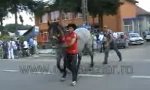 Lustiges Video : Bauernregel Nr. 1: Niemals hinterm Pferd laufen