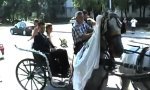 Lustiges Video : Hochzeitskutsche mit zwei wilden Pferdestärken