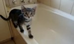 Funny Video - Reverse Gear In The Bath