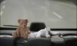 Funny Video : Pimp my ride
