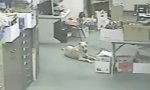 Lustiges Video : Seismographischer Hund
