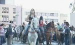 Funny Video : Pferde-Ausrutscher