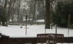 Lustiges Video : Schnee in Zeitraffer