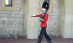 Movie : Windsor Guard