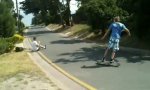 Lustiges Video : Skate-Trick No. 126: Double-Pavement-Bushflipper