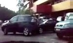 Lustiges Video : Parking-Kommentator des Jahres