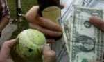 Lustiges Video : Die Elf-Dollar-Hundeball-Wette