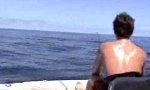 Lustiges Video : Der Mann und das Meer